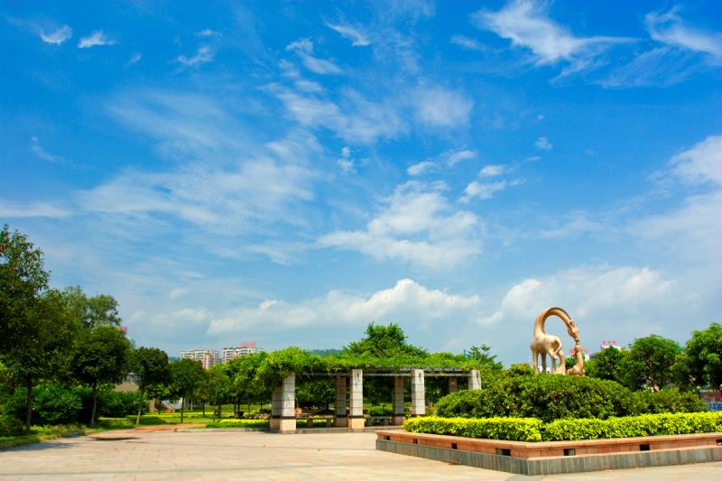 “圍捕雪豹”“漂流小孩哥大鬧幼兒園”等都是謠言！10起網(wǎng)絡謠言案件公布