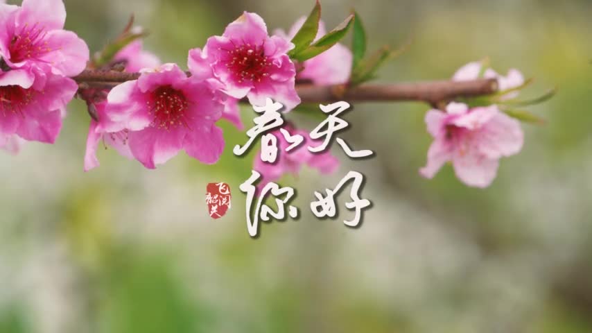 你好，韶關(guān)