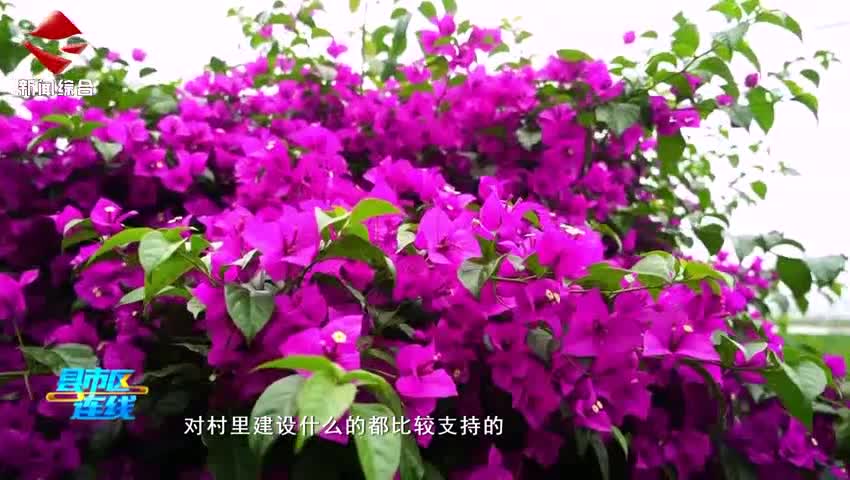 鄉(xiāng)風正 民心齊 樂昌市北鄉(xiāng)鎮(zhèn)東紅村喜獲全國文明村榮譽